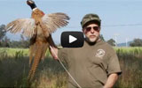 Official Ojai Valley Taxidermy TV Commercial Official Ojai Valley Taxidermy TV Commercial