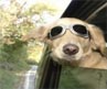 SPEEDbit Blog - Patience is Overrated | HD2Go: SPEEDbit App SPEEDbit Blog - Patience is Overrated | HD2Go: SPEEDbit App