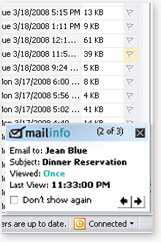 Mailinfo Real Time Notification window screenshot
