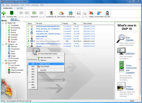 Download Accelerator Plus (DAP) main panel - Download Basket opacity options screenshot