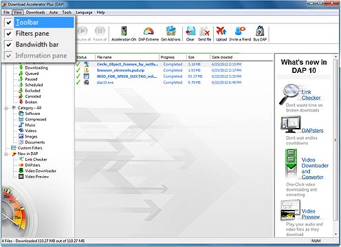 Download Accelerator Plus (DAP) main panel - Customize panel screenshot