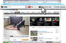 Click the flashing Speedbit Video Downloader and Converter Download video button.