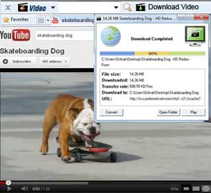 FREE One Click Video Download FREE One Click Video Download